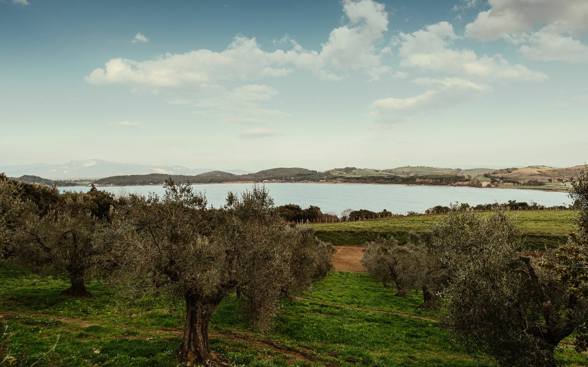 Torre Di Baratti Bio Resort Populonia Eksteriør billede
